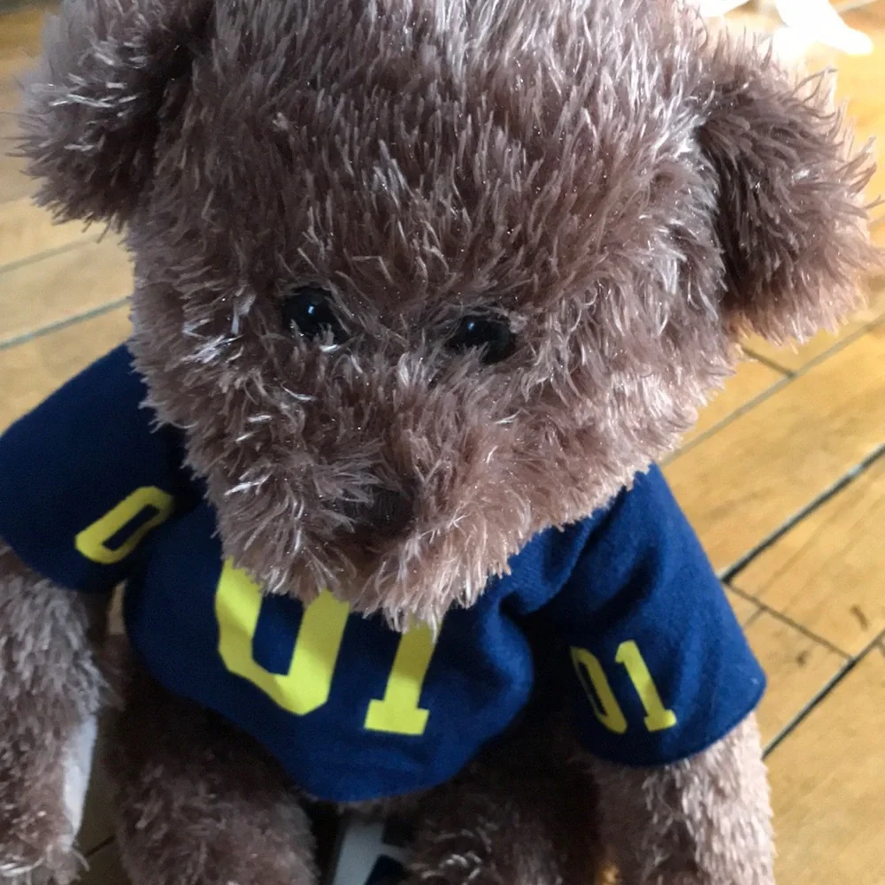 Michigan‎ Wolverines Adorable Brown Teddy Bear with Navy Shirt